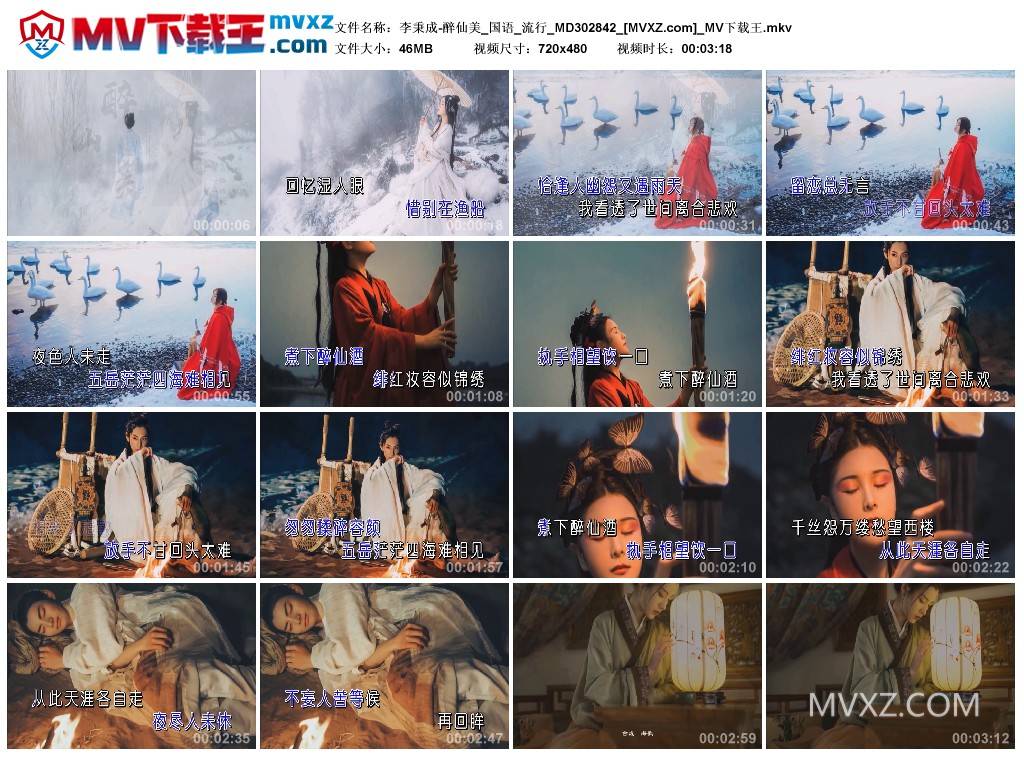 李秉成-醉仙美_国语_流行_MD302842